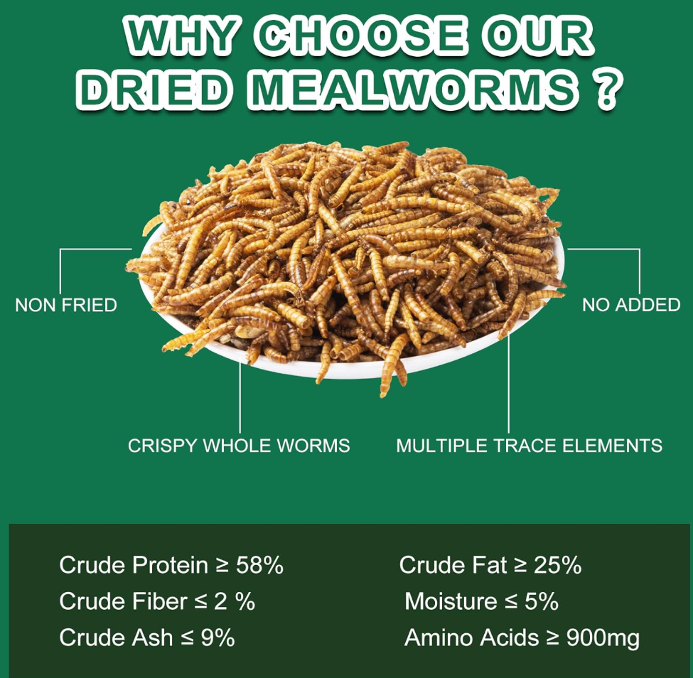 Dried Mealworms for Reptiles & Small Pets - 100% Natural High Protein Food for Bearded Dragons,Turtles, Lizards, Hamsters & Hedgehogs (4oz) Capuca