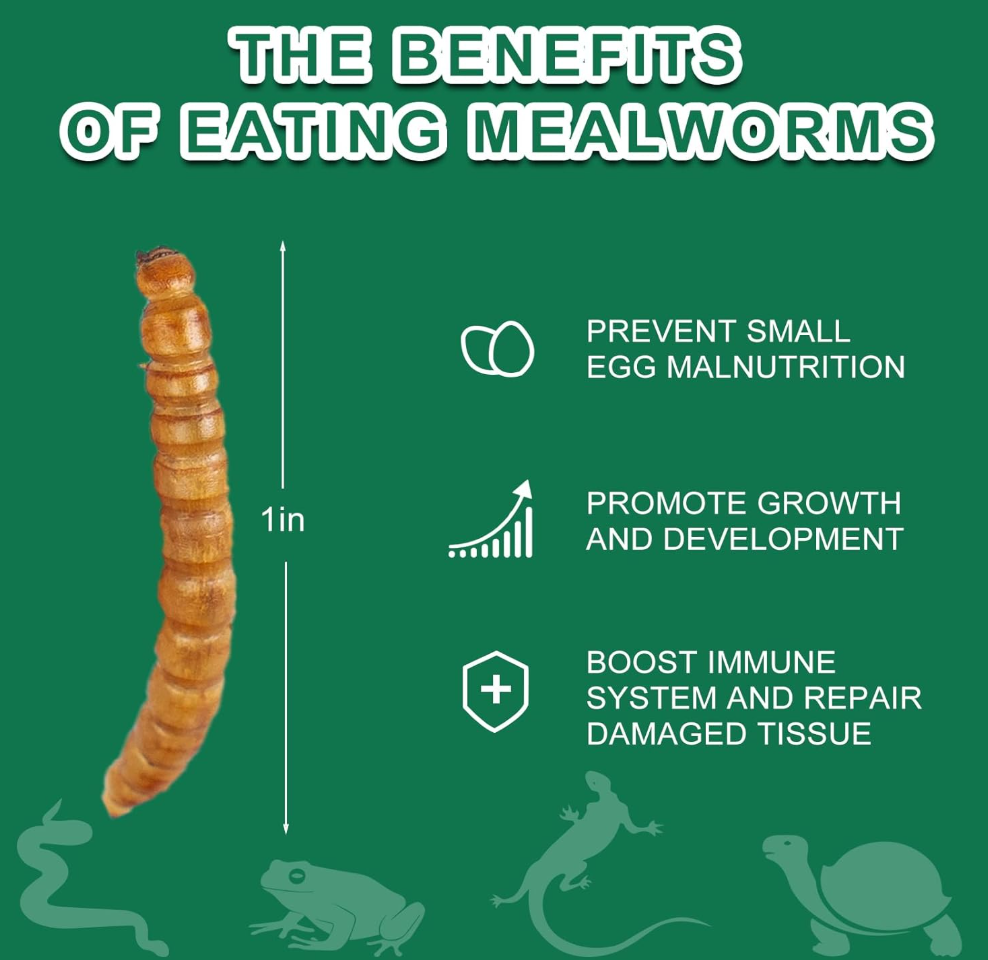 Dried Mealworms for Reptiles & Small Pets - 100% Natural High Protein Food for Bearded Dragons,Turtles, Lizards, Hamsters & Hedgehogs (4oz) Capuca