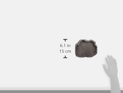 Zoo Med Reptile Rock Food Dish, Medium, 7.25"l x 6"w x 0.75"h, Colors may vary Black ZooMed