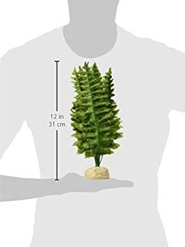 Exo Terra,Reptiles, Amphibians Boston Fern Terrarium Plant, Medium ExoTerra