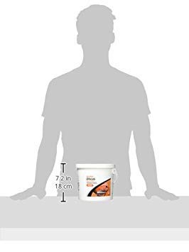 Seachem NutriDiet Discus Flakes - Fortified Ornamental Fish Food Supplement 500g Seachem+Laboratories%2C+Inc.