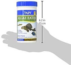 API ALGAE EATER WAFERS Algae Wafer Fish Food 6.4-Ounce Container API