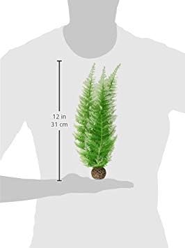 biOrb Fern Plant Pack, Winter, Medium biOrb