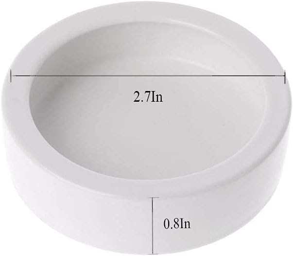 Tfwadmx 2 Pack Reptile Food Bowl, Mini Ceramic Water Feeder Bowl, Reptile Worm Feeding Dish for Lizard Turtle Bearded Dragon Anoles Crested Gecko Hermit Crab Leopard Gecko Chameleon Corn Snake Tfwadmx