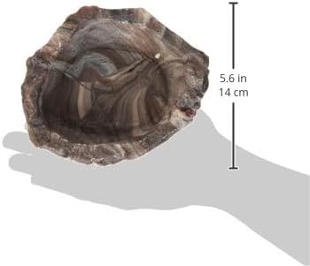 Fluker's Repta Bowl, Food and Water Bowl for Reptiles and Small Animals, Medium 6" Flukers