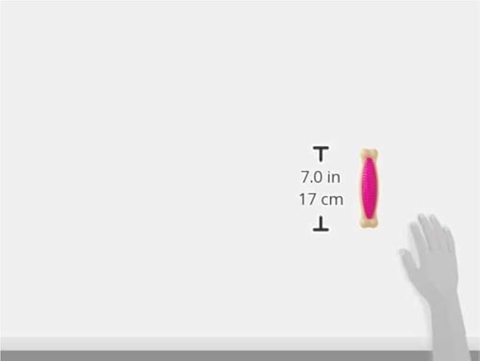 Hartz Chew 'n Clean Tuff Bone Bacon Scented Dental Dog Chew Toy - Large - PAWPICO