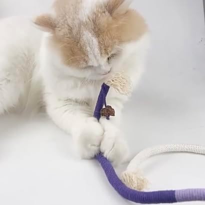 AcceLeah Cat Worm Toy Refills Cats Teaser Toys Wand Replacement,Cat Worms and Dragonfly Refill,Cat Wand Toy Assorted Teaser Refills with Bell (6Pcs Random Color Set) - PAWPICO
