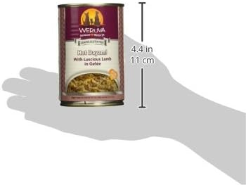 Weruva Classic Dog Food, Hot Dayam! with Lamb in Gelée, 14oz Can (Pack of 12) - PAWPICO