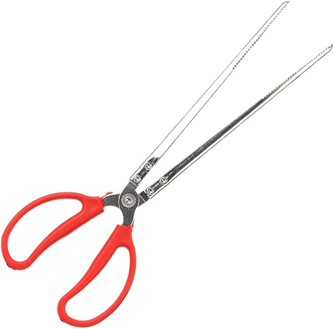 Snake Feeding Tongs, Ball Python Tank Accessories Supplies fit Corn Snakes WOLEDOE