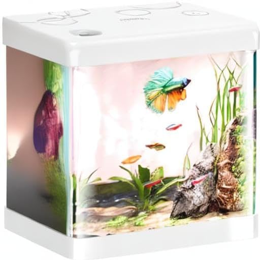 5 Gallon Glass Small Fish Tank,Betta Fish Tank with Filter and Light(Tank+Air Pump+Sponge Filter+Light),White Aquarium Starter Kit. Pronetcus