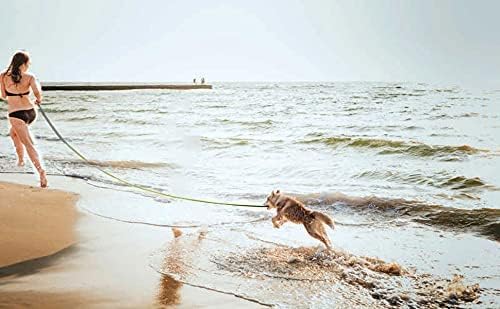 15ft 20ft 30ft 40ft 50ft Long Dog/Puppy Lead Obedience Recall Training Dog Leashes for Small Medium Dogs Camping, Training, Play, or Backyard (15 FT, Orange) PETGOGO