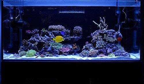 KZKR LED Aquarium Hood Lighting 72-78 inch Fish Tank Light Lamp for Freshwater Marine Saltwater Blue and White Decorations Light 6-7ft (34W) 180cm - 200cm KZKR
