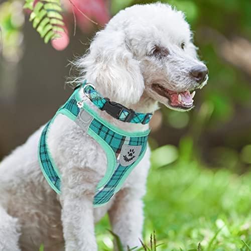 PUPTECK Adjustable Dog Harness Collar and Leash Set Step in No Pull Pet Harness for Small Medium Dogs Puppy and Cats Outdoor Walking Running, Soft Mesh Padded Reflective Vest Harnesses, Lake Green M PUPTECK