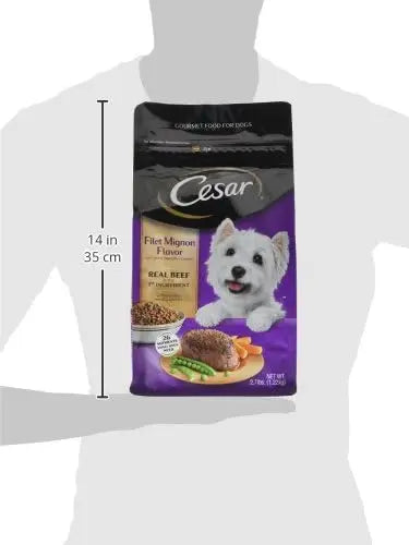 CESAR Small Breed Dry Dog Food, Filet Mignon Flavor and Spring Vegetables Garnish, 2.7 lb. Bag - PAWPICO