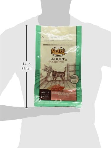NUTRO WHOLESOME ESSENTIALS Adult Natural Dry Cat Food Salmon & Brown Rice Recipe, 3 lb. Bag - PAWPICO