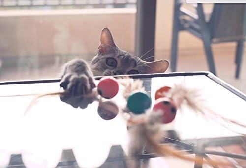 5 Pack Interactive Bouncy Ball with Natural Feathers for Indoor Cats and Kittens who Love to Play and Have Fun. - PAWPICO