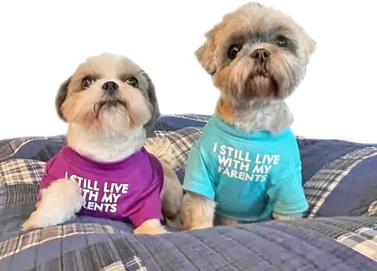 Cute Dog Clothes,Dog T Shirt for Medium Dogs.Dog Clothes for Small Dogs Girl Boy,Puppy.Breathable Soft Dog Costume Pet Dogs Cats,Pet Pullover Jumper,Cat Clothes (S-(4~8lb), Chest~14", Aqua) - PAWPICO