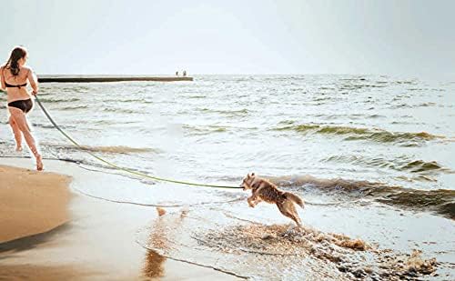 15ft 20ft 30ft 40ft 50ft Long Dog/Puppy Lead Obedience Recall Training Dog Leashes for Small Medium Dogs Camping, Training, Play, or Backyard (20 FT, Rainbow) PETGOGO
