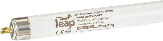 Leap Habitats T5 HO 10.0 UVB Bulb for Reptiles & Amphibians - German-Made, Prevents MBD, Promotes Vitamin D3 (36", 39, Watts) LeapHabitats