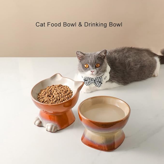 Nihow Elevated Cat/Dog Bowls Set : 6.2 Inch Ceramic Raised Cat Food & Water Bowl Set for Protecting Pet's Spine - Feeding & Watering Supplies for Cat/Small Size Dog - Elegant Brown (2PC) - PAWPICO