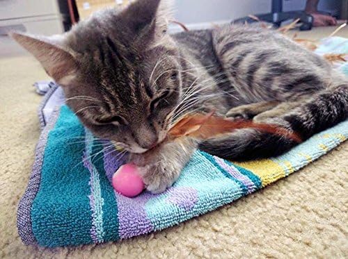 5 Pack Interactive Bouncy Ball with Natural Feathers for Indoor Cats and Kittens who Love to Play and Have Fun. - PAWPICO