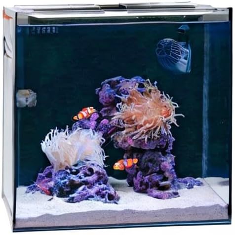 15 Gallon Beginner Clownfish Saltwater Aquarium Kit with App Controlled Smart LED Lighting, Filtration, Decor, and Setup Guide HelloReef