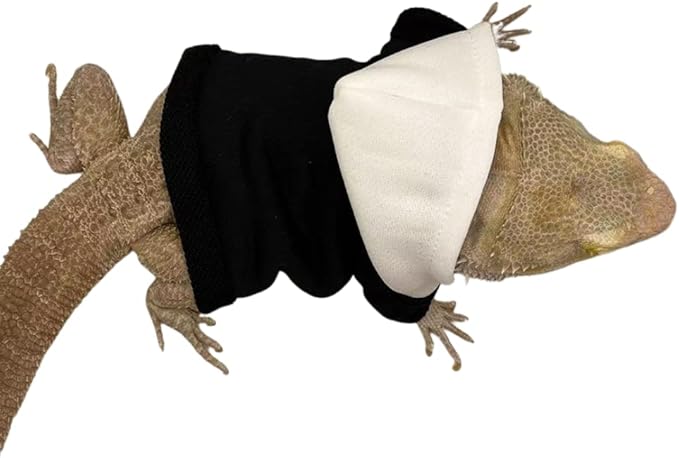 Bearded Dragons Hoodie - Handmade Adjustable Cotton Sweater Reptile Jacket Shirt for Skin Protection Small Animal Costume Apparel for Lizard Bearded Dragon Crested Gecko Chameleon (L, Black) WCDJOMOP