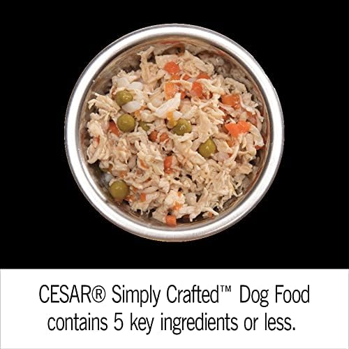 CESAR SIMPLY CRAFTED Adult Soft Wet Dog Food Cuisine Complement Variety Pack, (24) 1.3 oz Tubs - PAWPICO