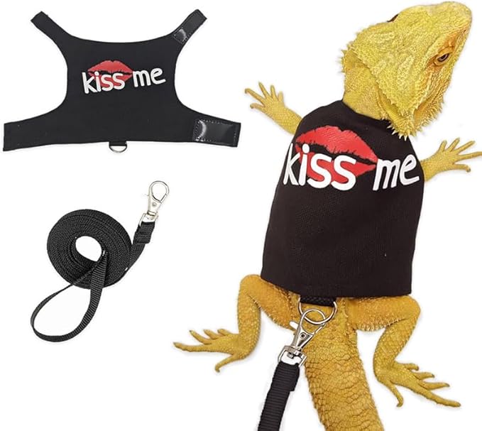 Bearded Dragon Leash and Harness Adjustable - Bearded Dragon Leash and Harness Set with Lizard Luminous Leash for Amphibians Chameleons Small Pet Animals Outdoor Safety Walking(Black) HOKABLE