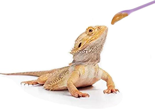 2Pcs Reptile Spoon, Reptile Powder Fruit Mixing Stirring Food Long Handle Feeding Tool Fit Crested Gecko Gargoyle Bearded Dragon FUATY
