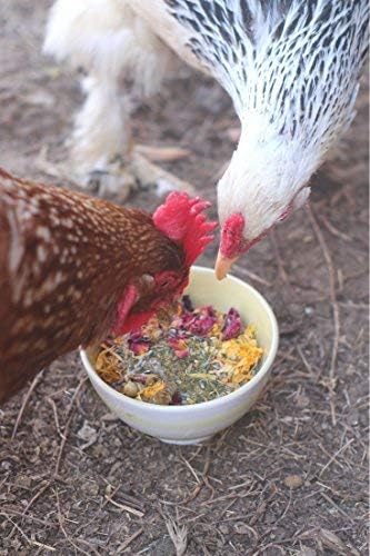 Pampered Chicken Mama Best Eggs Ever! Nesting Herbs for Chickens (10 Ounces) Calcium Supplement for Chickens | Chicken Feed Supplies, Hen Treats for Coops PamperedChickenMama