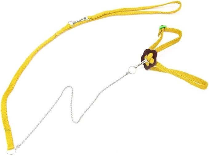Hypeety Reptile Lizard Outdoor Walk Adjustable Harness Leash Anti-bite Light Soft Bearded Dragon Accessories Parrot African Grey Cockatoo Macaw Ringneck Outside Free Lovebird Supplies (Random Color) Hypeety