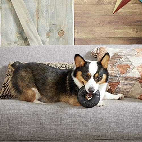Barkbox Super Chewer Tough Dog Chew Toys for Aggressive Chewers, Dental Stimulating (Radius - Large) - PAWPICO