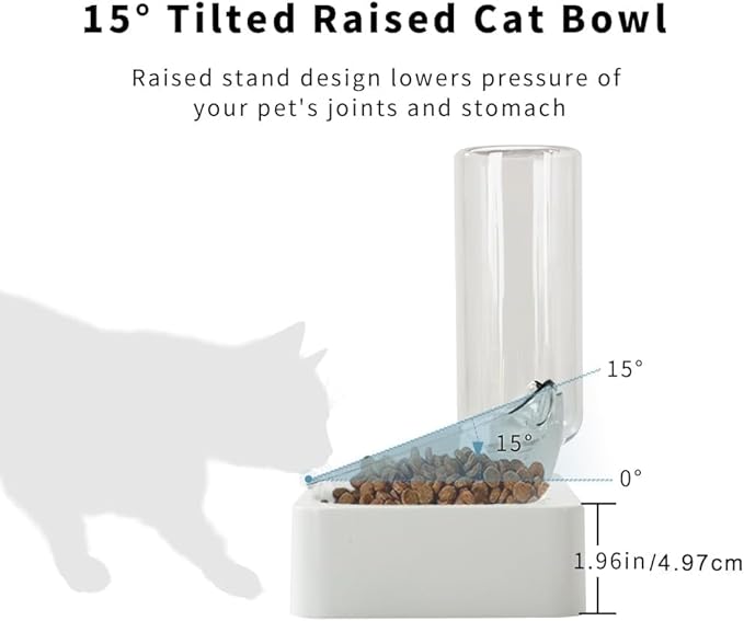 Marchul Tilted Cat Food Bowl with Feeding Mat for Food and Water, Food Feeding Dishes for Raised Cats and Puppies - PAWPICO