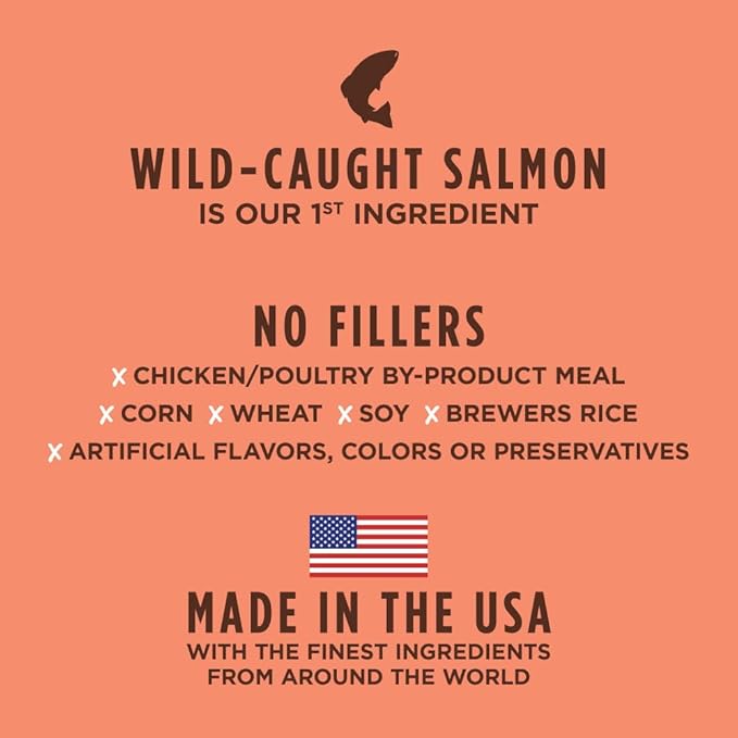 Instinct Be Natural Real Salmon & Brown Rice Recipe Natural Dry Dog Food, 24 lb. Bag - PAWPICO