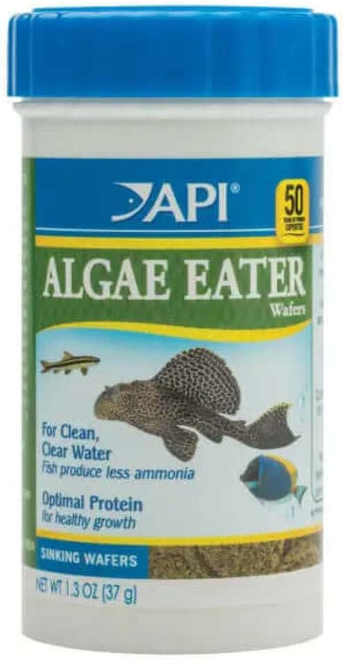 API ALGAE EATER WAFERS Algae Wafer Fish Food 3.7-Ounce Container API