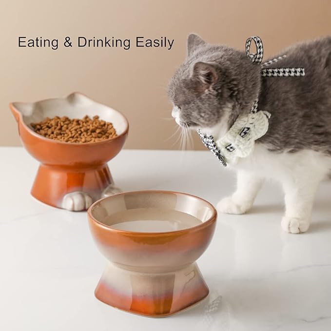 Nihow Elevated Cat/Dog Bowls Set : 6.2 Inch Ceramic Raised Cat Food & Water Bowl Set for Protecting Pet's Spine - Feeding & Watering Supplies for Cat/Small Size Dog - Elegant Brown (2PC) - PAWPICO