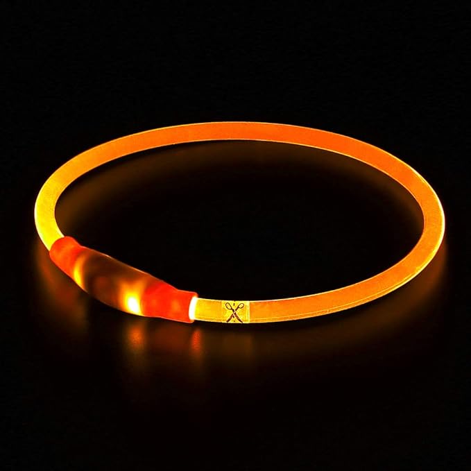 BSEEN LED Dog Collar, USB Rechargeable, Glowing pet Dog Collar for Night Safety, Fashion Light up Collar for Small Medium Large Dogs(Orange) BSEEN