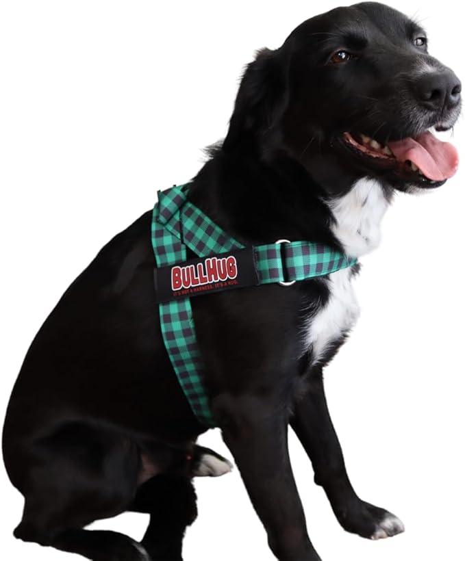 BULLHUG Harness – Made for Larger Chested Dogs Like English Bulldogs, French Bulldogs, Pugs & More. Stops Dogs from Pulling & Choking on Walks (Green Buffalo, Medium) BULLHUG