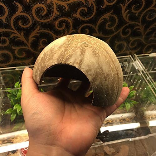 Hypeety Natural Coconut Reptile Habitat Hideout for Reptile, Lizard, Spider, Snake, Aquarium, Fish Hide Cave Hermit Crabs, Hamsters Natural Coco Hut Organic Non-Toxic Aquarium Decoration Hypeety