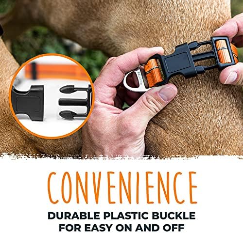 Mighty Paw Martingale Dog Collar 2.0 | Trainer Approved Limited Slip Collar with Stainless Steel Chain & Heavy Duty Buckle - Modified Cinch for Gentle & Effective Pet Training - Large, Orange MightyPaw