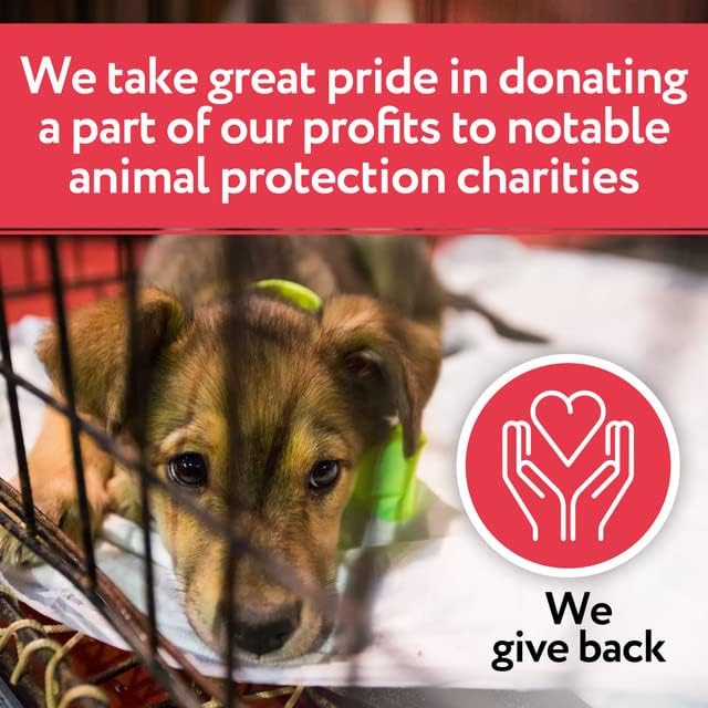 Arava Natural Dog Ear Infection Treatment -First Aid in Acute & Chronic Inflammations - Anti Itch Effective Ear Cleaner - Pet Otic Aromatherapy Ear Care Solution Arava-DeadSeaPetSpa