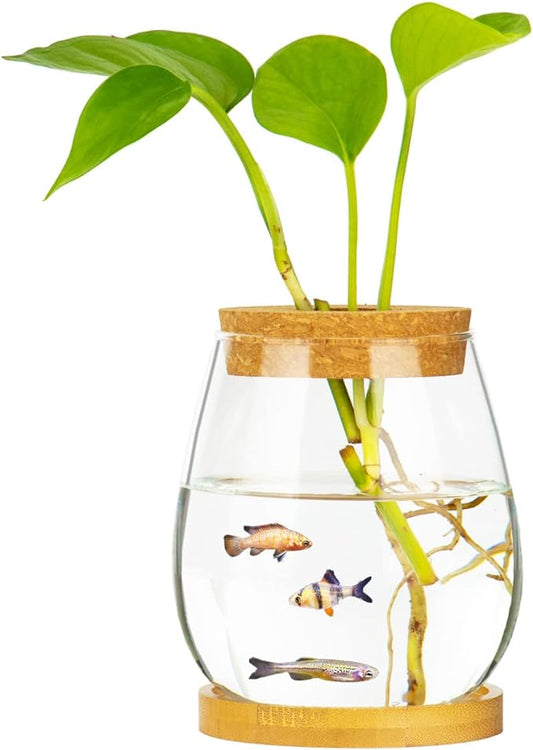 Desktop Fish Bowl Clear Glass Small Fish Tank with Wood Lid and Bamboo Stand for Betta Fish Plants Terrarium Home Office Decoration Gifts CUSNESTAL