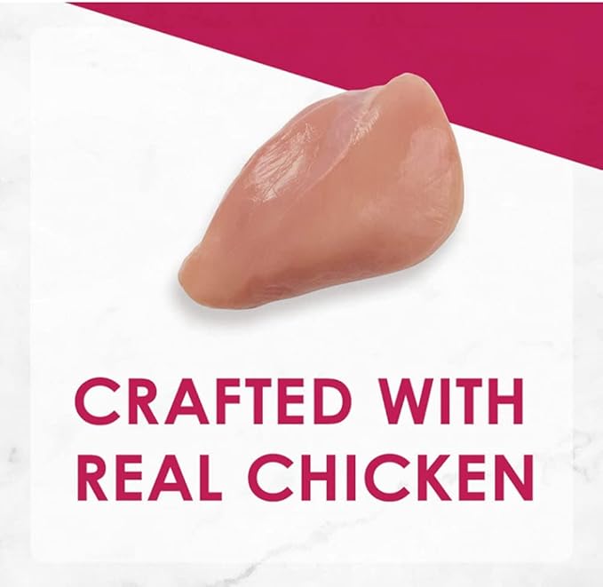Sliced Chicken Feast in Gravy Canned Wet Cat Food - (12 Pack) 3oz cans - PAWPICO