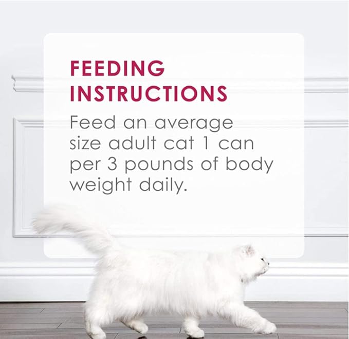 Sliced Chicken Feast in Gravy Canned Wet Cat Food - (12 Pack) 3oz cans - PAWPICO