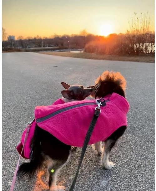 Gooby Zip Up Fleece Dog Sweater - Pink, X-Large - Warm Pullover Fleece Step-in Dog Jacket with Dual D Ring Leash - Winter Small Dog Sweater - Dog Clothes for Small Dogs Boy and Medium Dogs - PAWPICO