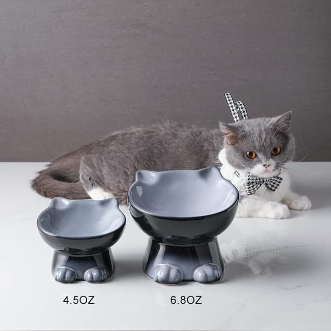 Nihow Elevated Cat/Dog Bowls: 6.25 Inch Ceramic Raised Cat Food & Water Bowl Set for Protecting Pet's Spine - Feeding & Watering Supplies for Cat/Small Size Dog - Elegant Gray (6.8 OZ /1 PC) - PAWPICO
