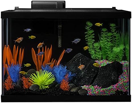 GloFish 20 Gallon Aquarium Kit with LED Lights, Decor Heater and Filter GloFish