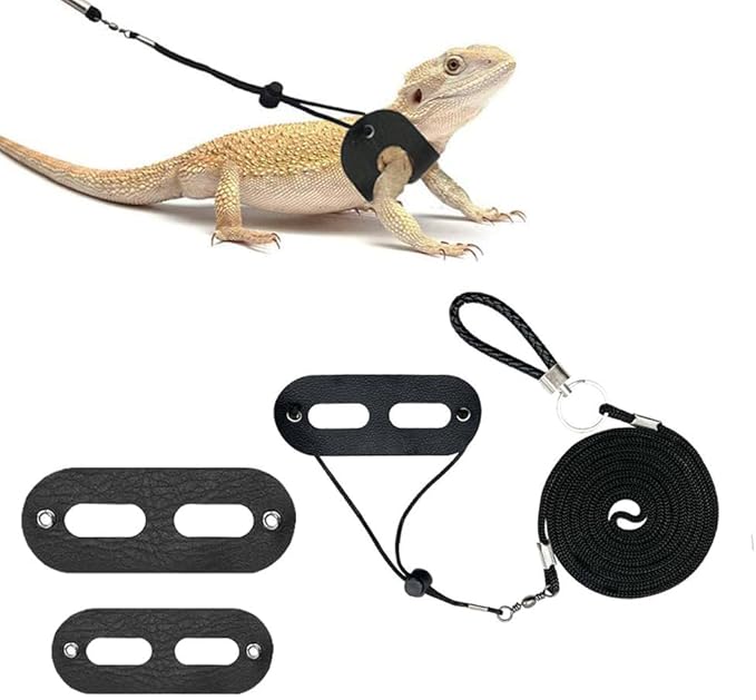 Bearded Dragon Leash and Harness Set,Lizard Leash Bearded Dragon,3 Size Pack Adjustable Small Animal Harness for Reptile and Small Pet(Upgraded Black) cyhaen
