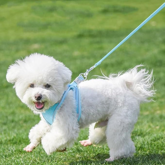 AIITLE Small Harness for Puppy with A Leash - Spring Dog Vest Harness with Super Breathable Mesh, Reflective No-Pull Pet Harness for Outdoor Walking, Camping for Small Dogs, Cats Pure Blue XXS AIITLE-FORPETSBETTERLIFE